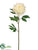 Pearl Peony Spray - Cream - Pack of 12