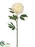 Silk Plants Direct Pearl Peony Spray - Cream - Pack of 12