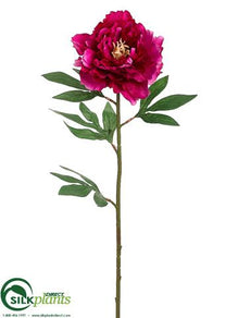 Pearl Peony Spray - Lilac Two Tone - Pack of 12