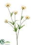 Silk Plants Direct Prairie Poppy Spray - Cream - Pack of 12