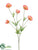 Prairie Poppy Spray - Rose - Pack of 12