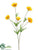 Prairie Poppy Spray - Yellow - Pack of 12