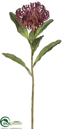 Protea Spray - Burgundy - Pack of 12