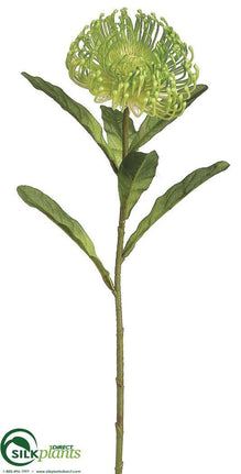 Protea Spray - Green - Pack of 12