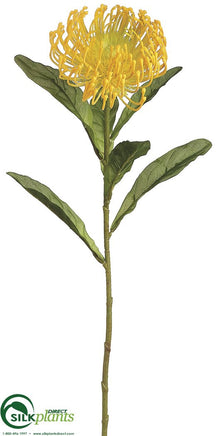 Protea Spray - Yellow - Pack of 12