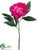 Peony Spray - Orchid - Pack of 12