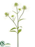 Silk Plants Direct Protea Spray - Cream Green - Pack of 12