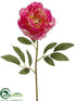 Silk Plants Direct Peony Spray - Fuchsia Cream - Pack of 12