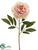 Peony Spray - Rose Cream - Pack of 12