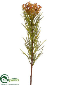 Jungle Protea Spray - Burgundy Yellow - Pack of 12