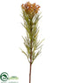 Silk Plants Direct Jungle Protea Spray - Burgundy Yellow - Pack of 12