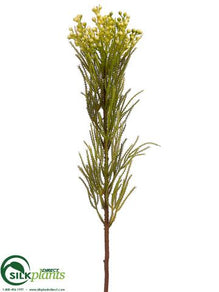 Jungle Protea Spray - Green Cream - Pack of 12