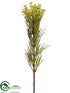 Silk Plants Direct Jungle Protea Spray - Green Cream - Pack of 12