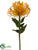 Protea Spray - Yellow - Pack of 12