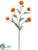 Pom Pom Spray - Orange - Pack of 12