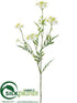Silk Plants Direct Queen Anne's Lace Spray - White - Pack of 12