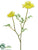 Silk Plants Direct Queen Anne's Lace Spray - Yellow - Pack of 12