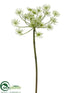 Silk Plants Direct Queen Anne's Lace Spray - White - Pack of 12