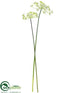 Silk Plants Direct Queen Anne's Lace Bundle - White - Pack of 12