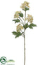 Silk Plants Direct Queen Anne's Lace Spray - Vanilla - Pack of 12