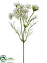 Silk Plants Direct Queen Anne's Lace Spray - White - Pack of 24