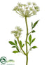 Silk Plants Direct Queen Anne's Lace Spray - White - Pack of 12