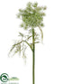 Silk Plants Direct Queen Anne's Lace Spray - White Green - Pack of 12