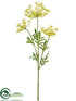 Silk Plants Direct Queen Anne's Lace Spray - Yellow Green - Pack of 12