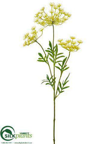 Queen Anne's Lace Spray - Yellow Green - Pack of 12