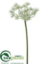 Silk Plants Direct Queen Anne's Lace Spray - White - Pack of 12
