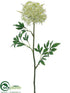 Silk Plants Direct Queen Anne's Lace Spray - White Green - Pack of 12