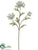 Queen Anne's Lace Spray - White - Pack of 12