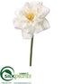 Silk Plants Direct Rose Spray - Cream Blush - Pack of 12