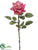 Rose Spray - Cerise Two Tone - Pack of 12