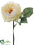 Rose Spray - White Cream - Pack of 24