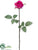 Silk Plants Direct Rose Spray - Fuchsia - Pack of 12