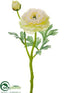 Silk Plants Direct Ranunculus Spray - White - Pack of 24