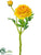 Ranunculus Spray - Yellow Soft - Pack of 24