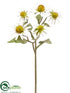 Silk Plants Direct Rudbeckia Spray - White - Pack of 12