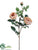 Rose Spray - Beige - Pack of 12