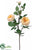 Rose Spray - Yellow Apricot - Pack of 12