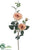 Rose Spray - Cream Peach - Pack of 12