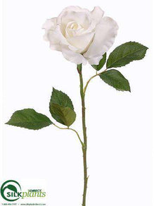 Rose Bud Spray - Cream - Pack of 12