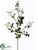 Banksia Rose Spray - Cream - Pack of 12