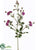 Banksia Rose Spray - Orchid - Pack of 12