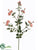 Banksia Rose Spray - Pink - Pack of 12