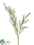 Rosemary Spray - Lavender - Pack of 12