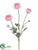 Ranunculus Spray - Mauve - Pack of 12