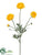 Ranunculus Spray - Yellow - Pack of 12