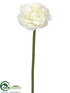 Silk Plants Direct Ranunculus Spray - White - Pack of 12